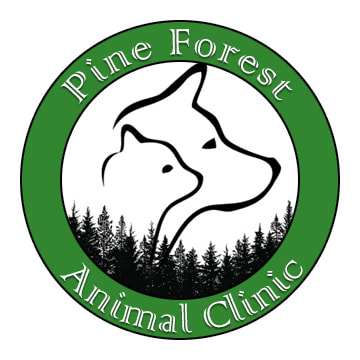 PINE FOREST ANIMAL CLINIC