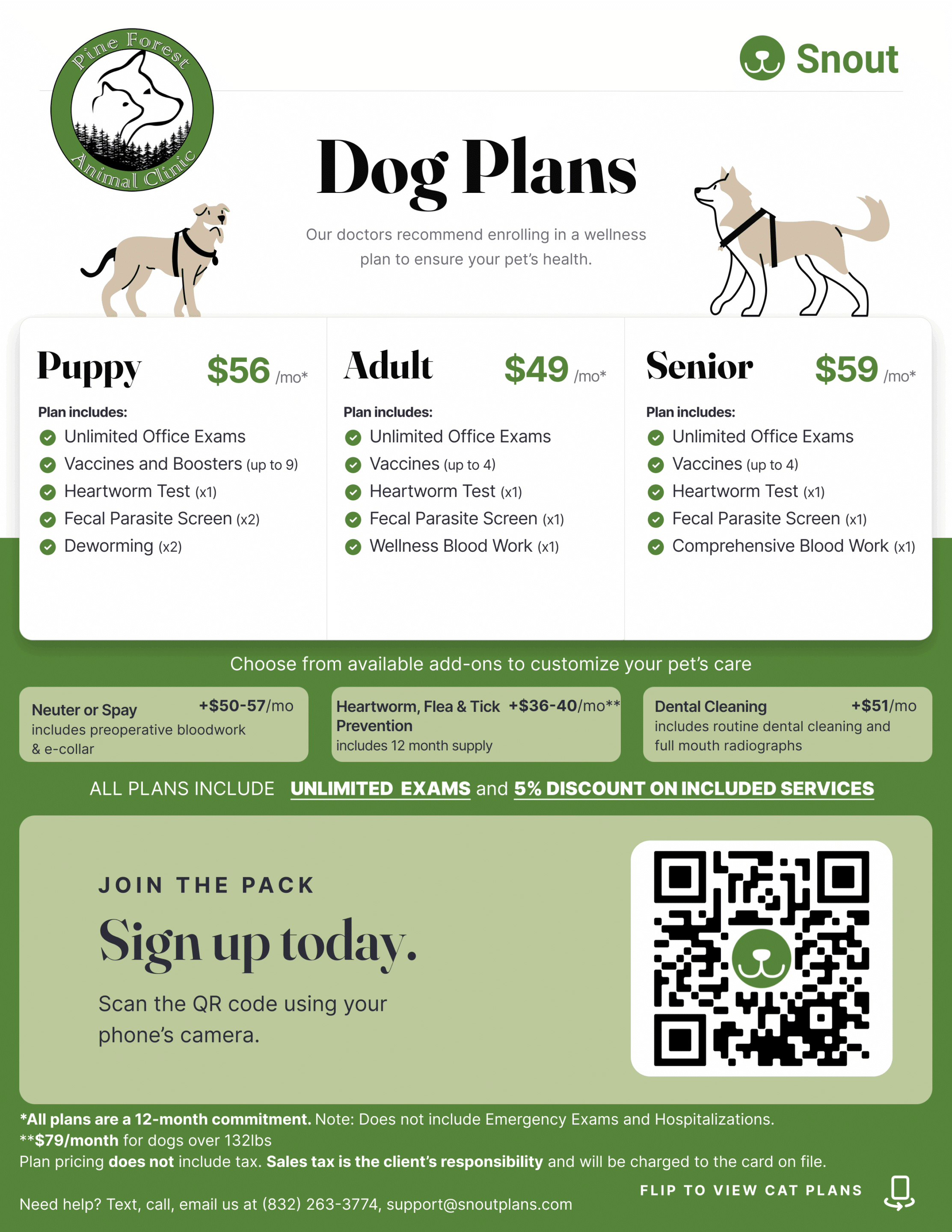 Coming Soon placeholder